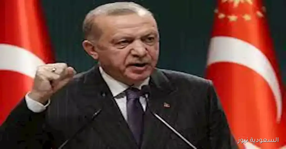 أردوغان يعبر عن امتنانه للدول التي اعترفت بدولة فلسطين