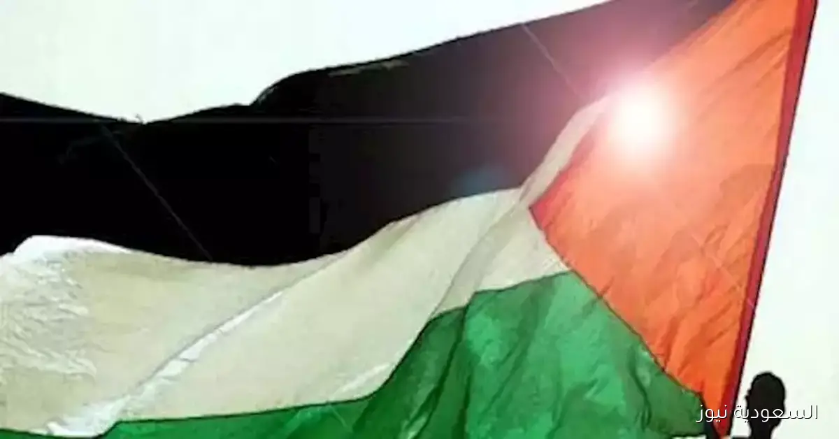 الاشتراكي الفرنسي يدعو لرفع العلم الفلسطيني في جميع البلديات