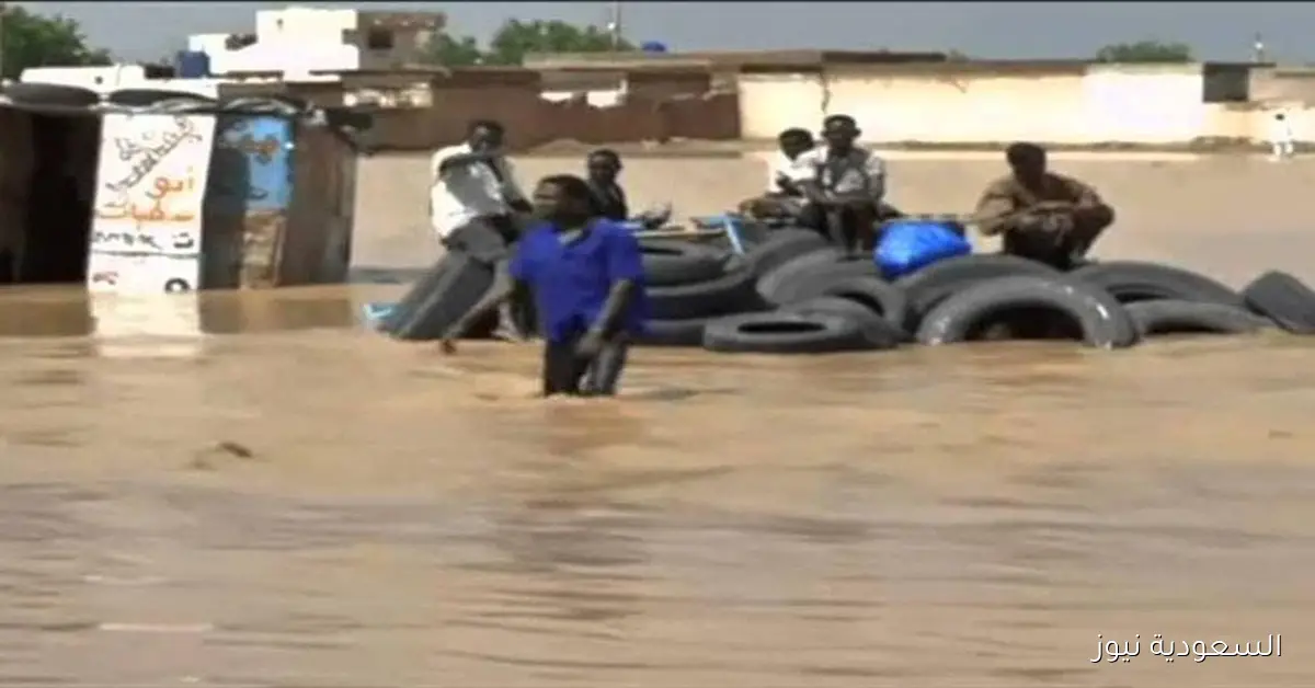 السودان يواجه تفشيًا واسعًا للحميات وسط تحذيرات الأطباء من خطر الانهيار الشامل