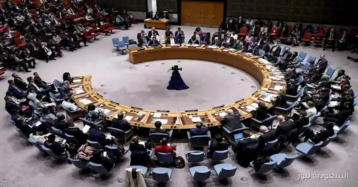 تقارير: الدول العشر في مجلس الأمن تعمل على التصويت من أجل وقف دائم لإطلاق النار في غزة