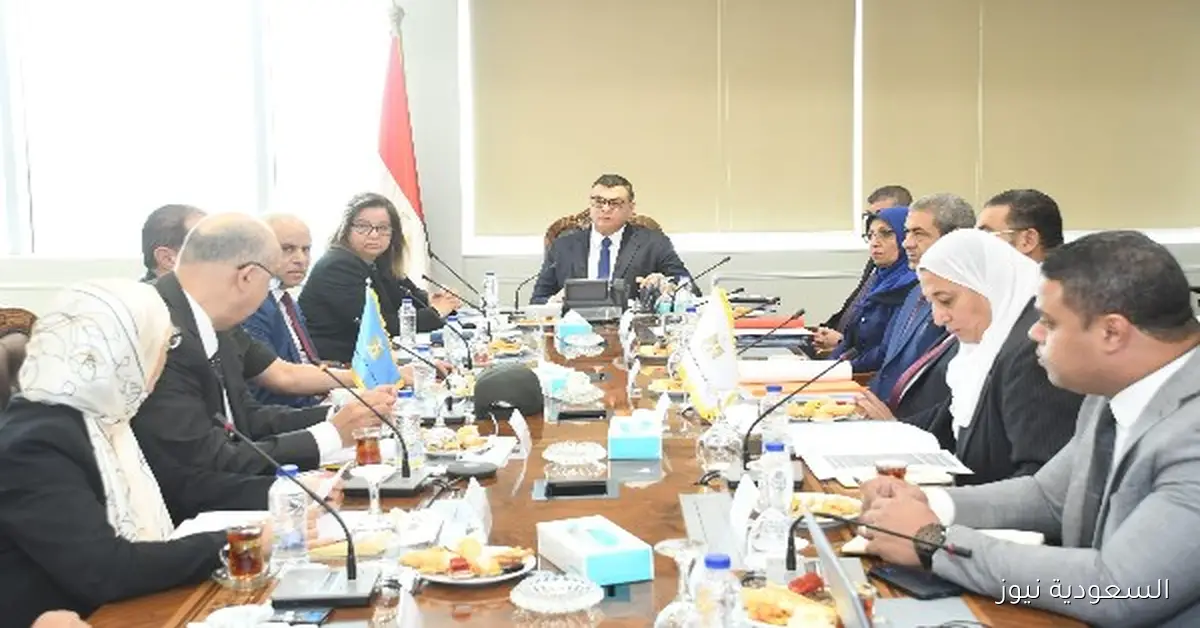 تنفيذ مليون و64 ألف وحدة سكنية في مشروع سكن لكل المصريين