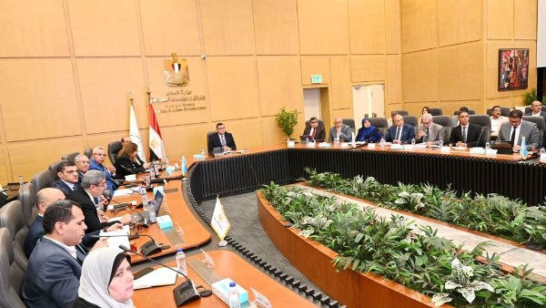 29 قرارًا لمواجهة التعديات ومخالفات البناء في القرى والمدن المختلفة