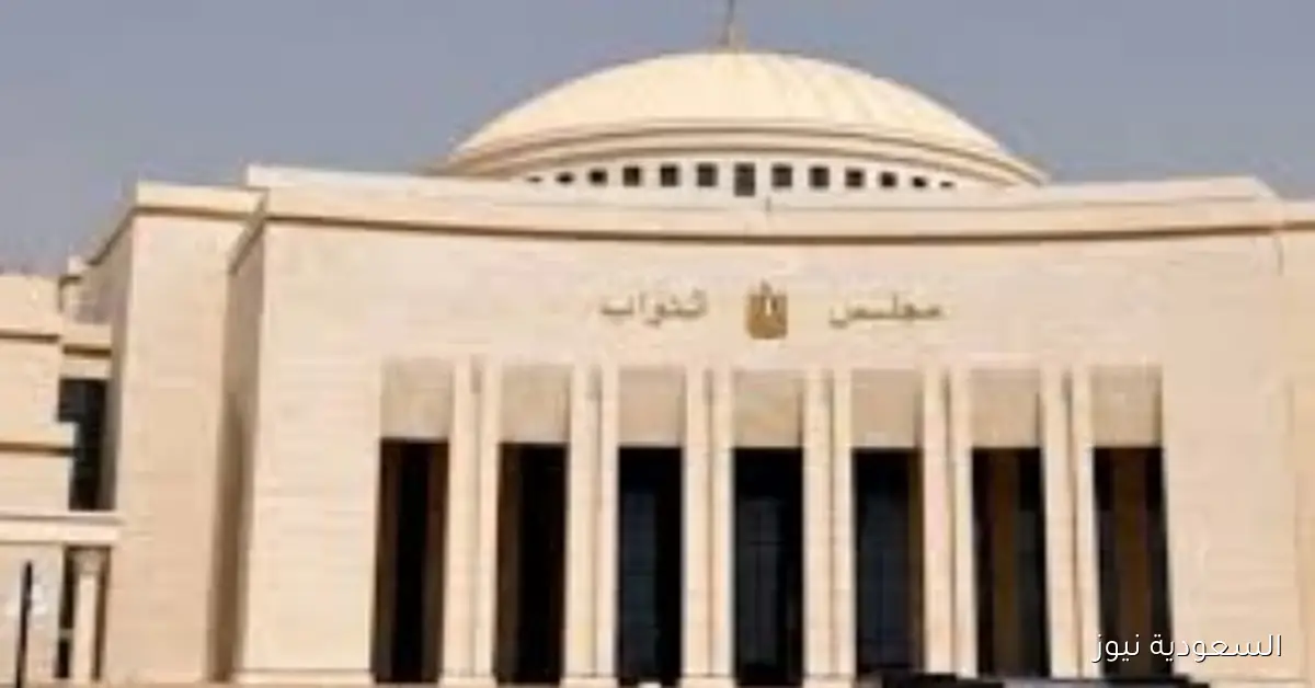 إقرار عدم ارتكاب المتقدم للترشح لانتخابات مجلس النواب لجريمة أو صدور حكم ضده