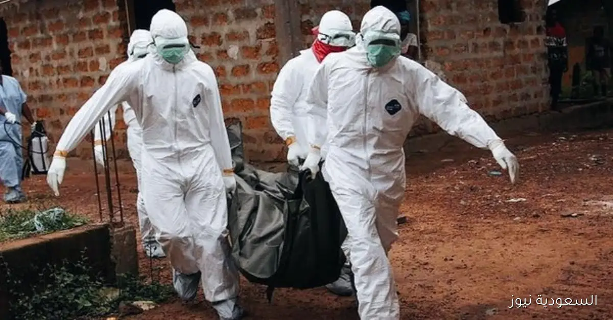 ارتفاع إصابات حمى الوادي المتصدع في السنغال إلى 74 حالة و10 وفيات