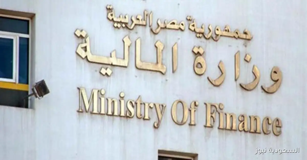 الحكومة توافق على استثمارات غير مباشرة بقيمة 2.22 مليار دولار مع تفاصيل جديدة