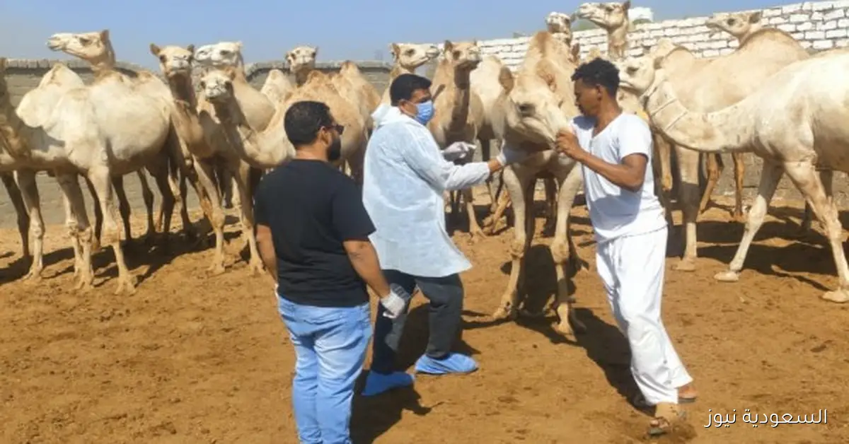 الزراعة تواصل جهودها للكشف المبكر والسيطرة على الأمراض المشتركة في سبتمبر