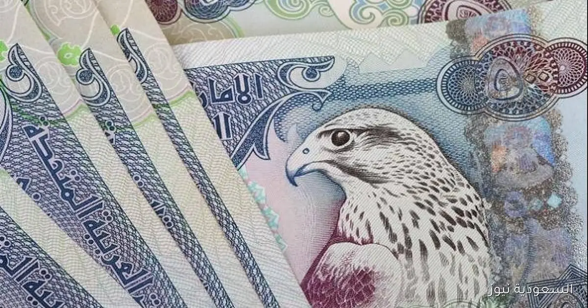 انخفاض قيمة الدرهم الإماراتي في مصر
