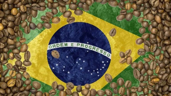 تهديد القهوة البرازيلية نتيجة إزالة الغابات بشكل واسع