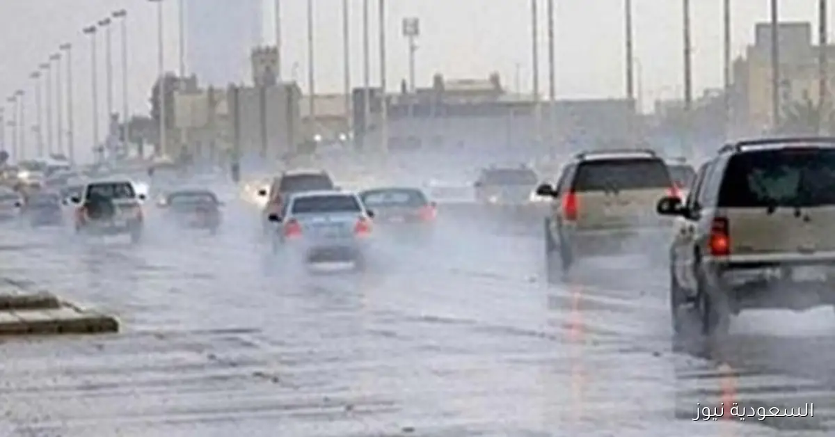 حالة الطقس غدًا في مصر: رياح وأمطار في بعض المناطق