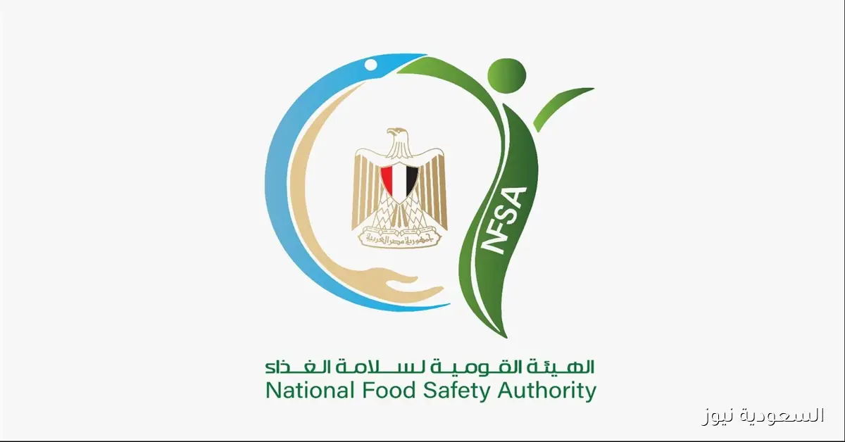 خلال أسبوع.. صادرات غذائية تصل إلى 180 ألف طن والدول العربية تتصدر قائمة المستوردين