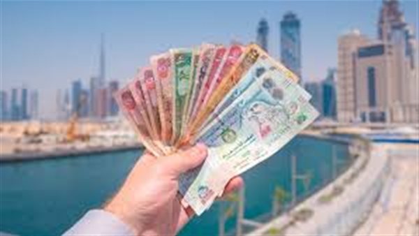 سعر الدرهم الإماراتي مقابل الجنيه المصري في نهاية تعاملات الأحد