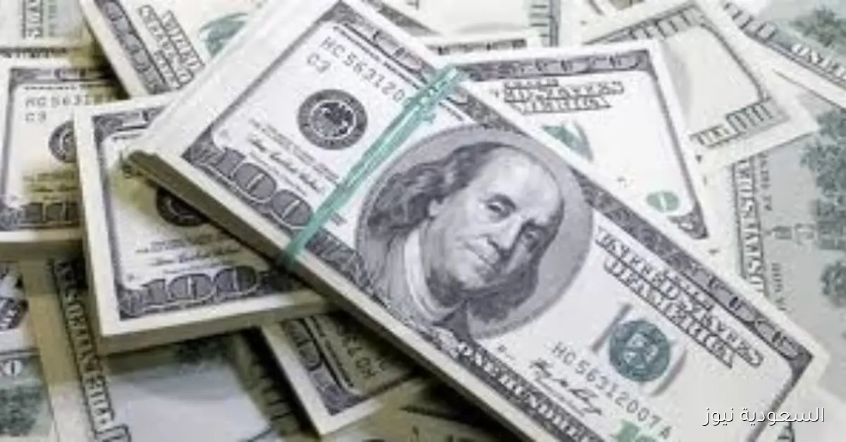 سعر الدولار اليوم عقب قرار البنك المركزي الأخير