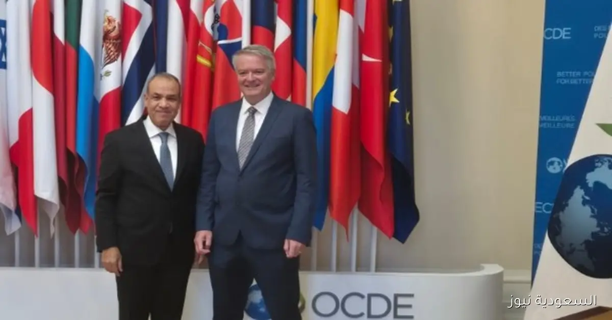 عبد العاطي يعلن عن خطة عمل لأويسد العالمية لمواكبة أولويات التنمية في دول المنطقة