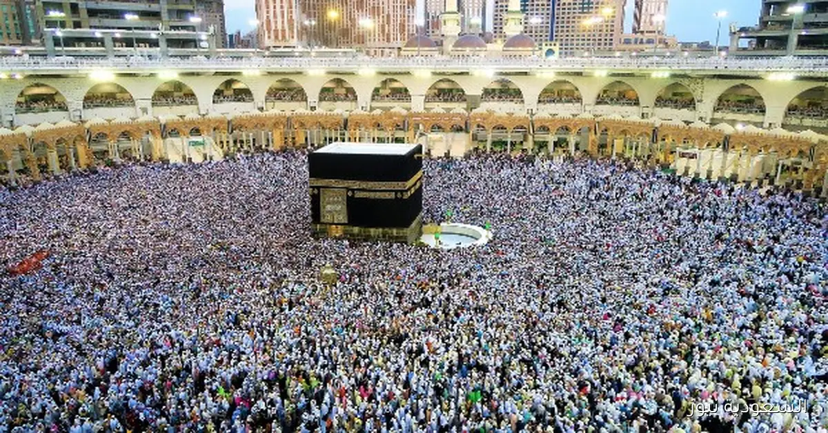 مصدر في السياحة يؤكد: لم نصدر قرارًا رسميًا بشأن تشغيل الحج البري حتى الآن