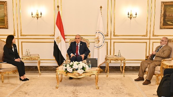 وزير الري يشدد على أهمية التعاون مع برنامج الأمم المتحدة الإنمائي لحماية الشواطئ