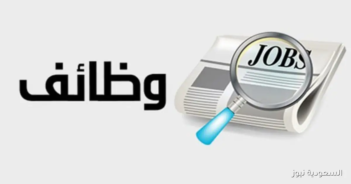 وظائف خالية برواتب تصل إلى 13 ألف جنيه شهرياً من وزارة الشباب والرياضة