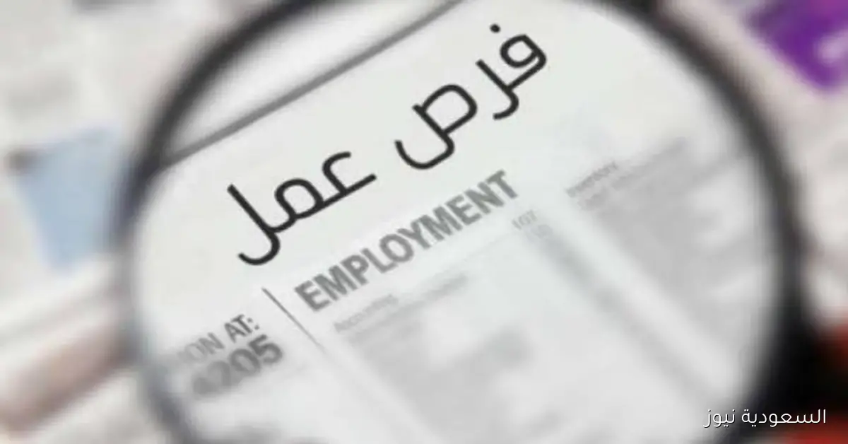 وظائف شاغرة في الجامعة السعودية الإلكترونية – قدم طلبك الآن