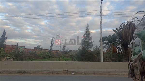 أخبار الطقس في بني سويف ودرجات الحرارة المتوقعة حتى نهاية الأسبوع