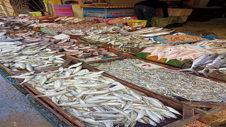 أسعار الأسماك النهاردة الاثنين 17-11-2025 لكل الأصناف في سوق العبور