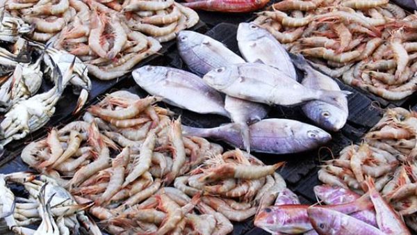 أسعار الأسماك في الأسواق اليوم السبت 1 نوفمبر 2025