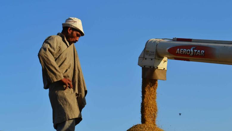 تطورات أسعار الأرز الشعير في الأسواق المحلية اليوم الثلاثاء 25-11-2025