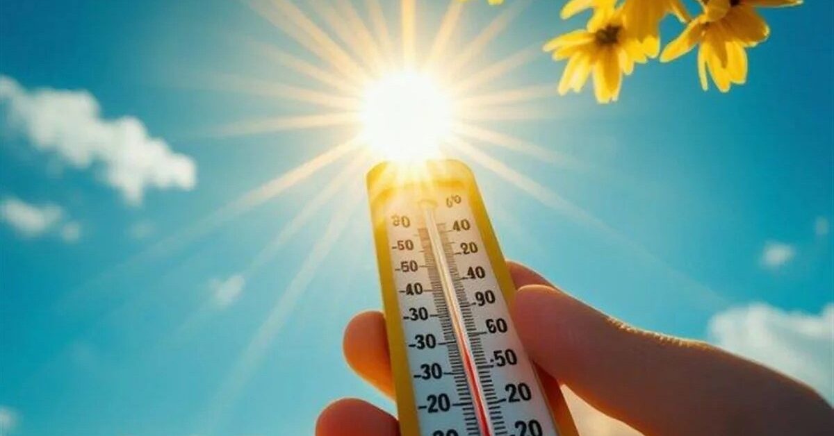 توقعات حالة الطقس اليوم السبت 22 نوفمبر 2025 في مصر.. ارتفاع في درجات الحرارة