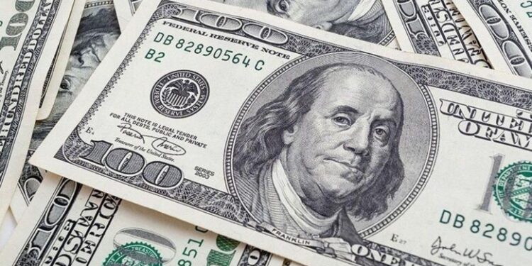سعر الدولار في مصر اليوم الخميس 13 نوفمبر 2025.. استقرار العملة الأمريكية في البنوك