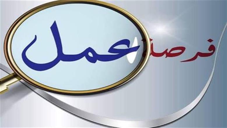 شروط التقديم على الوظائف في محافظة القاهرة والأوراق اللازمة لذلك