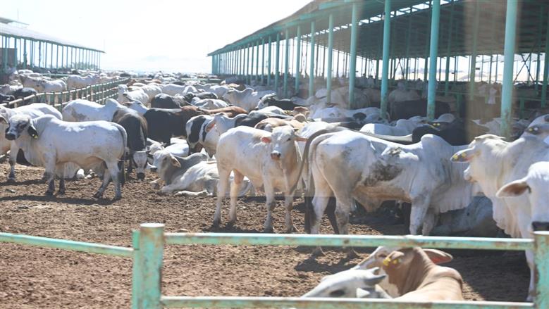 مبادرة حكومية جديدة للراغبين في بدء مشروع يحقق أرباح كبيرة، بدون الحاجة لرأس مال