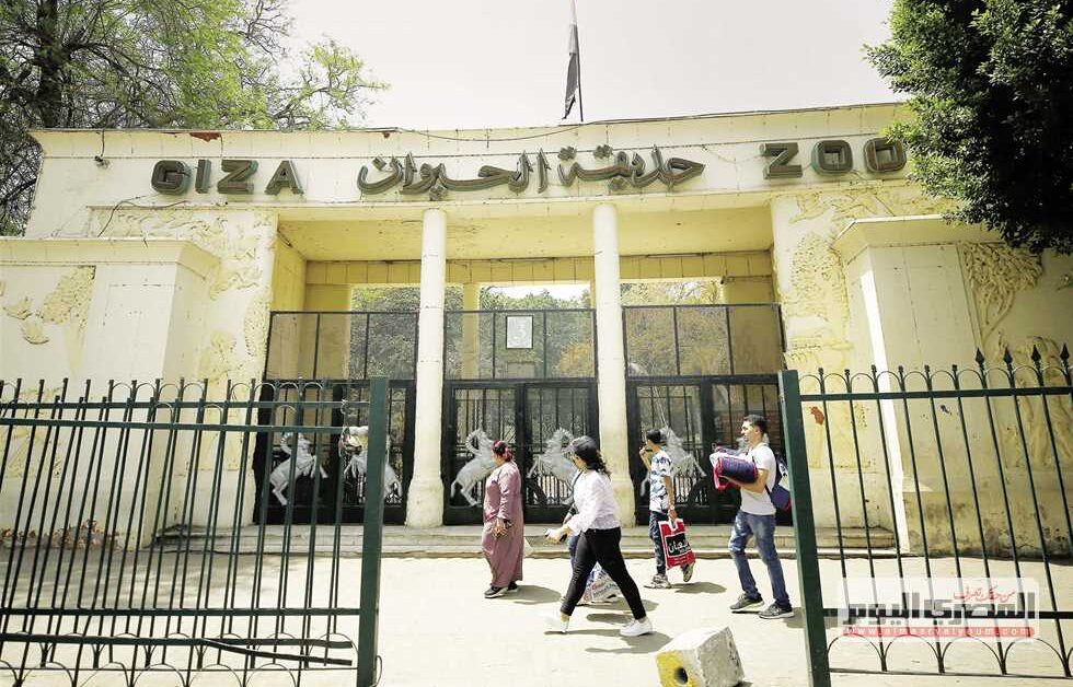 موعد بدء تشغيل حديقة الحيوان بالجيزة بعد التجديدات 2026
