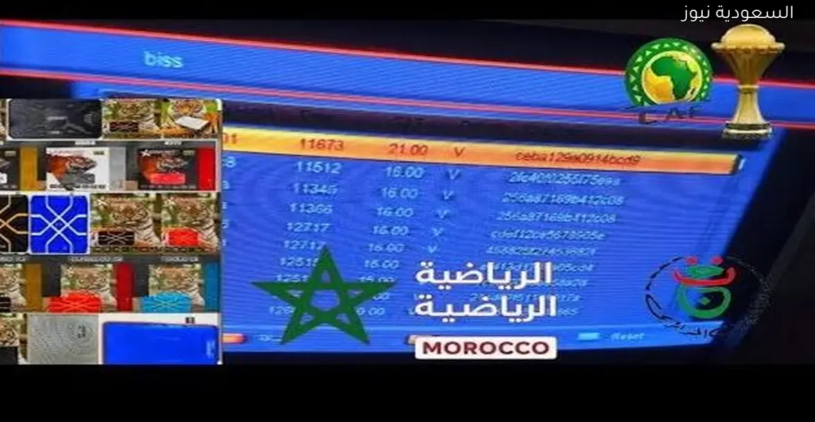 فتح الجزائرية والمغربية: تعرف على ستار نت والأجهزة المشابهة