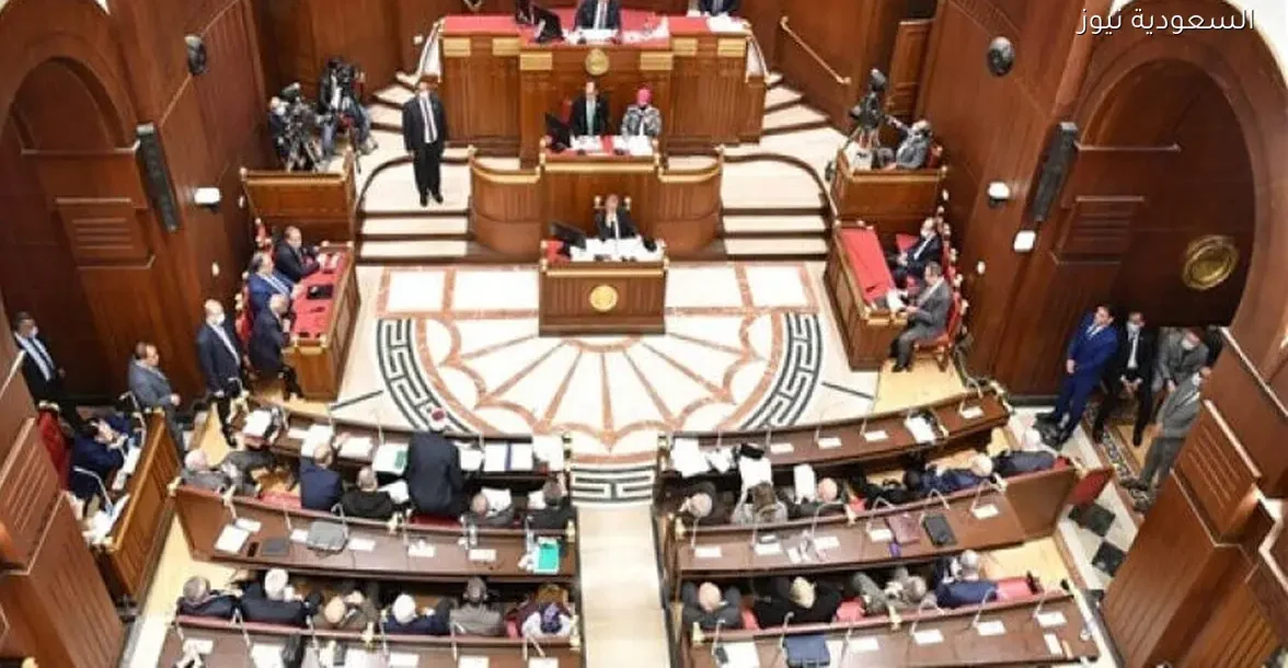 الشيوخ يناقش قانون نقابة المهن الرياضية لتعزيز التنظيم المهني اليوم على قناة النيل للأخبار