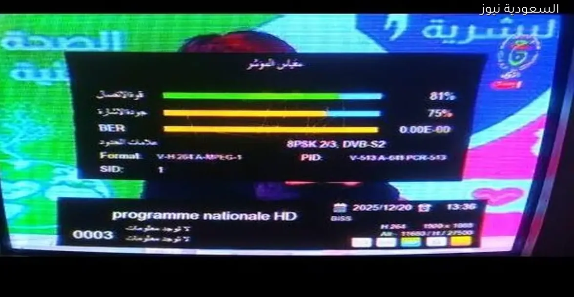 الجزائرية: الأرضية جاهزة للعمل بكفاءة عالية 100%