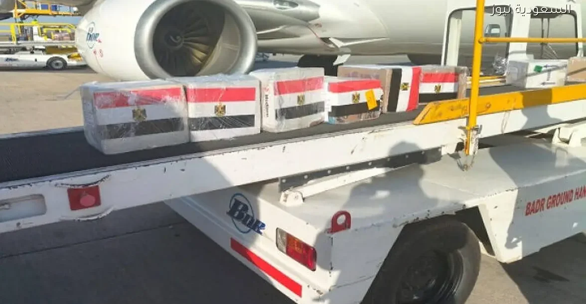 مصر ترسل قافلة طبية وأدوية إلى السودان تنفيذًا لتوجيهات الرئيس السيسي