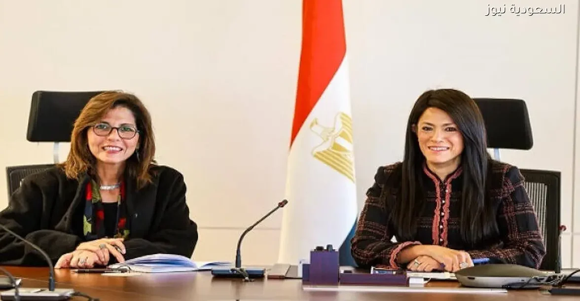 المشاط والمدير التنفيذي للأكاديمية الوطنية يتحدثان عن خطط التدريب المستقبلية