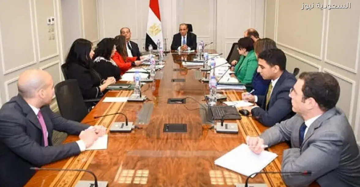 وزير الخارجية: نحتاج جهود أكبر لاستعادة الآثار المصرية من الخارج بالصور