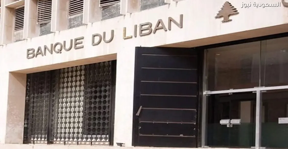 782 ألف حساب تحتوي على 14.8 مليار دولار: تفاصيل مثيرة للدهشة