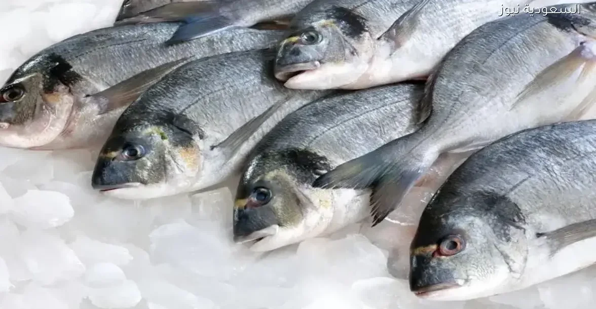 أسعار البلطي والسبيط والكابوريا في سوق العبور اليوم 20 ديسمبر 2025