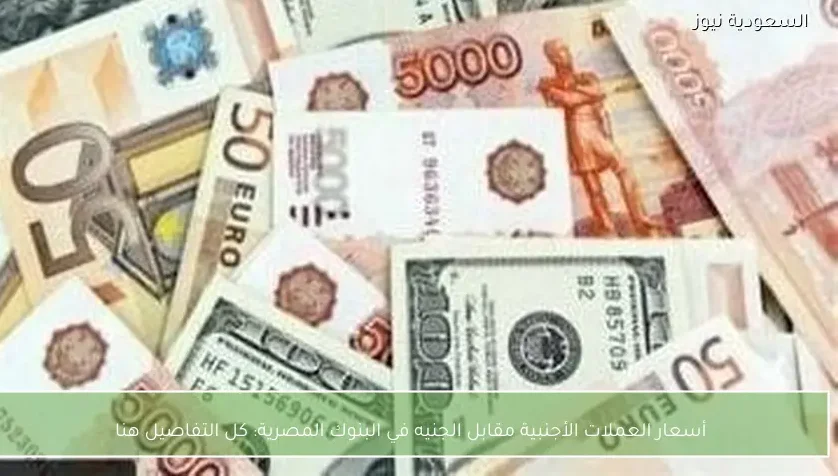 أسعار العملات الأجنبية مقابل الجنيه في البنوك المصرية: كل التفاصيل هنا
