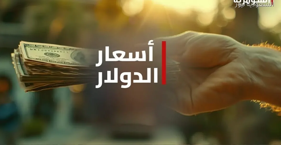 استقرار أسعار الدولار مع بداية الأسبوع الجديد