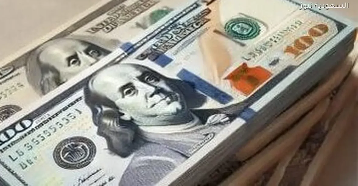 استقرار سعر الدولار أمام الجنيه في البنوك المصرية اليوم