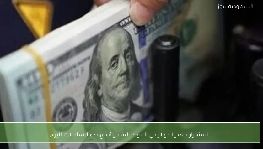 استقرار سعر الدولار في البنوك المصرية مع بدء التعاملات اليوم