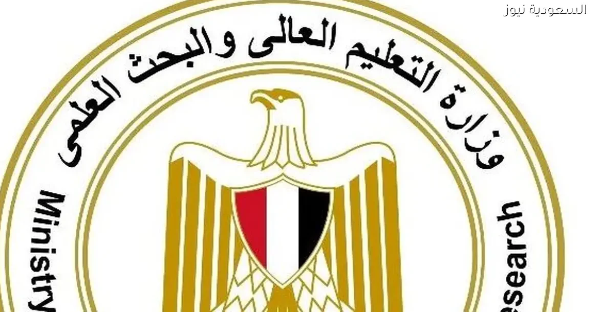 التعليم العالي تعلن عن 20 منحة دراسية بتمويل مشترك مع فرنسا