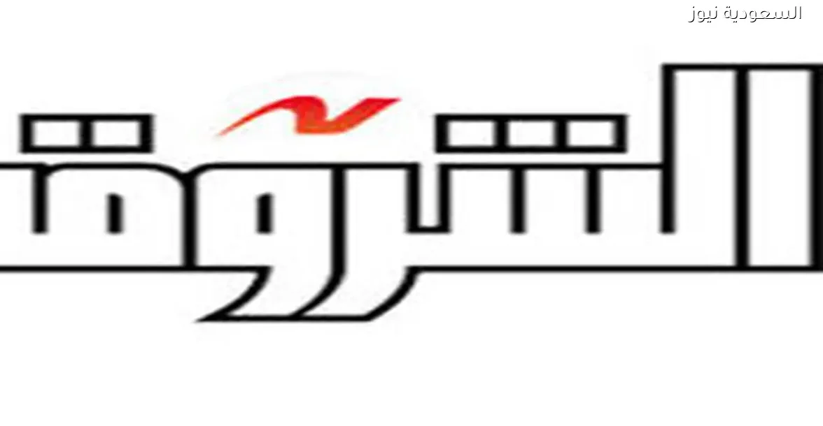 تعرف على تفاصيل الخطأ في بوابة الشروق وتأثيره على المستخدمين