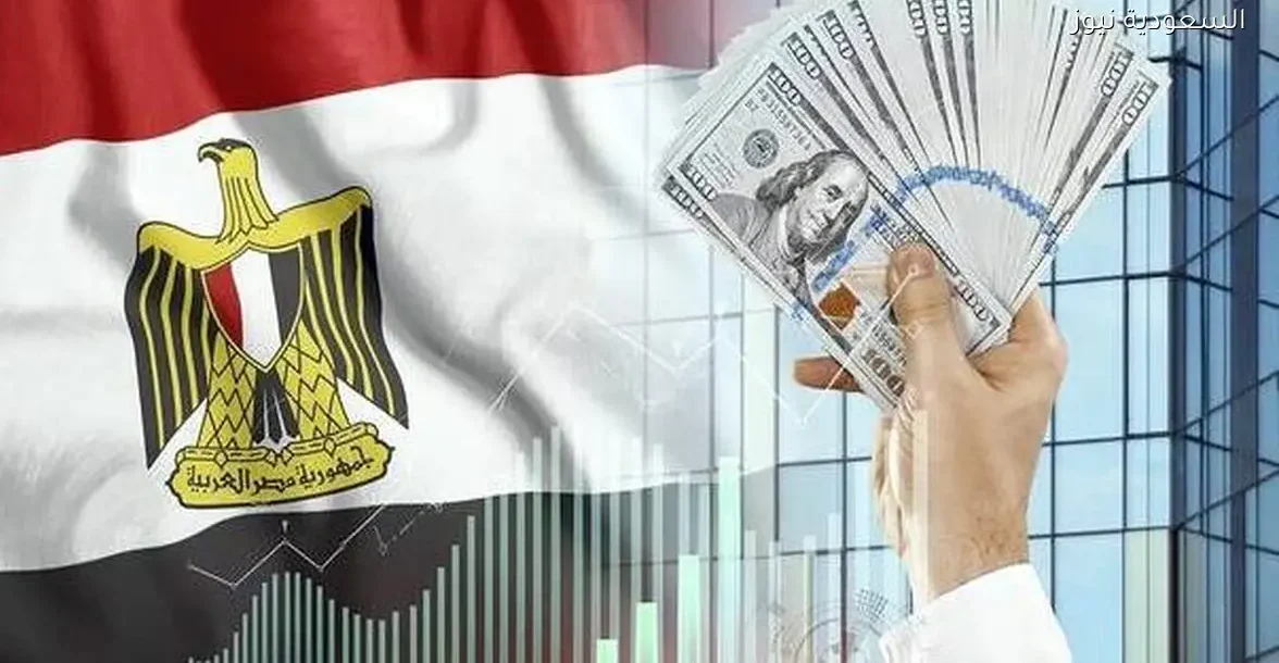 توقعات بصفقة بيع أصول جديدة من الحكومة المصرية في 2026