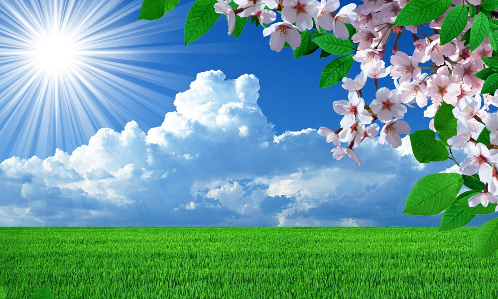 توقعات حالة الطقس اليوم الجمعة 5 ديسمبر 2025 في مصر.. أجواء باردة وسحب متواجدة