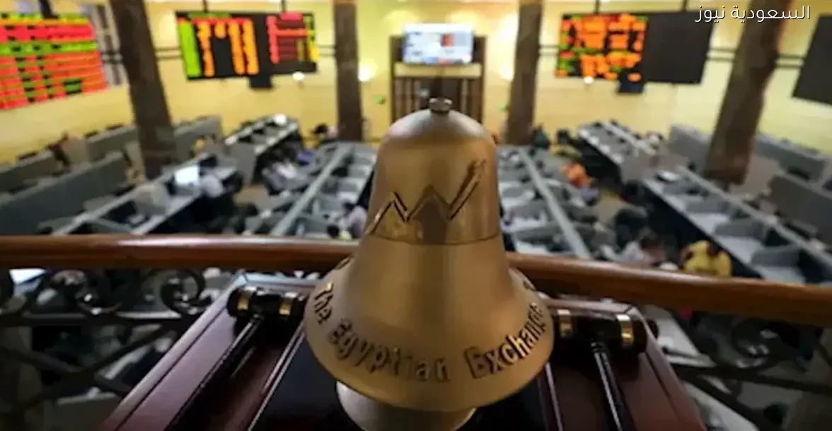 حسن الصادي: الاكتتاب الأجنبي في البورصة قد يهدد الاقتصاد المصري