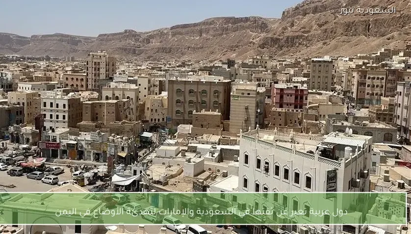 دول عربية تعبر عن ثقتها في السعودية والإمارات لتهدئة الأوضاع في اليمن