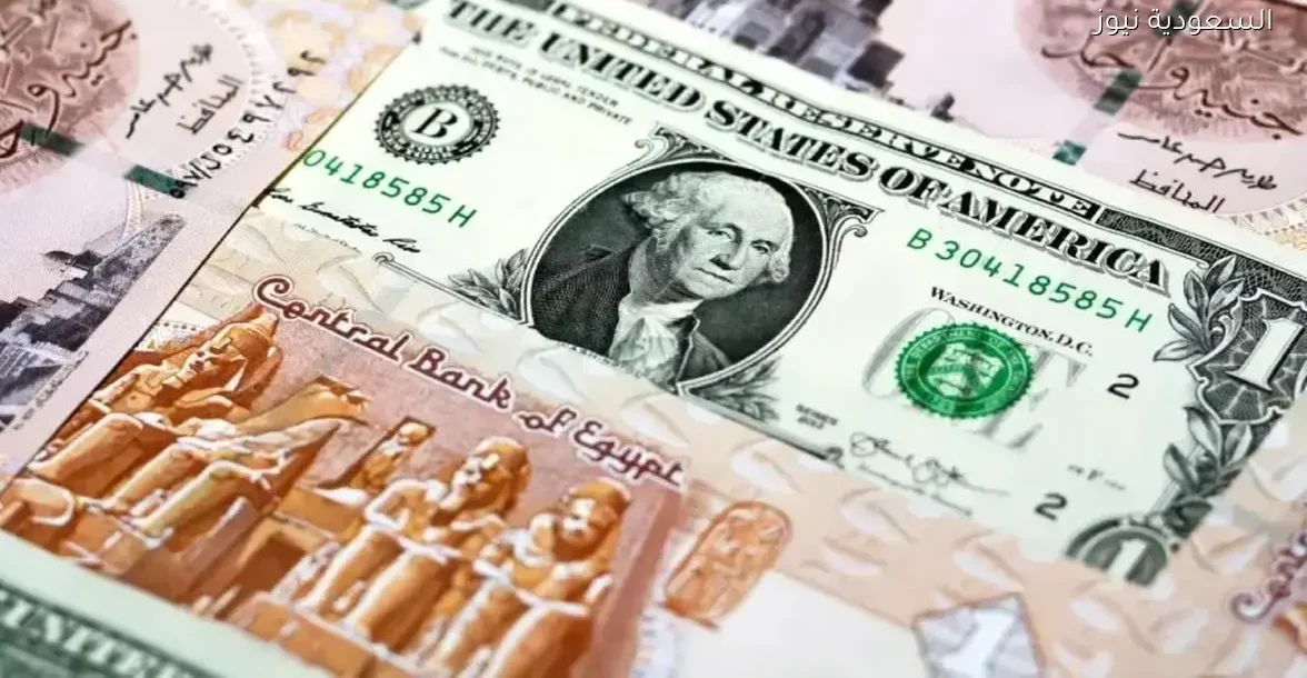 سعر الدولار يتغير مع عودة البنوك للعمل الأحد 21-12-2025