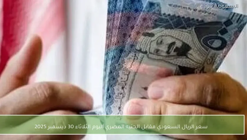 سعر الريال السعودي مقابل الجنيه المصري اليوم الثلاثاء 30 ديسمبر 2025